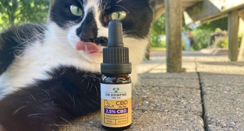 hemp oil supplements cat