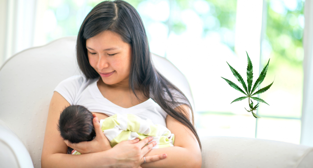 cbd safety when breastfeeding